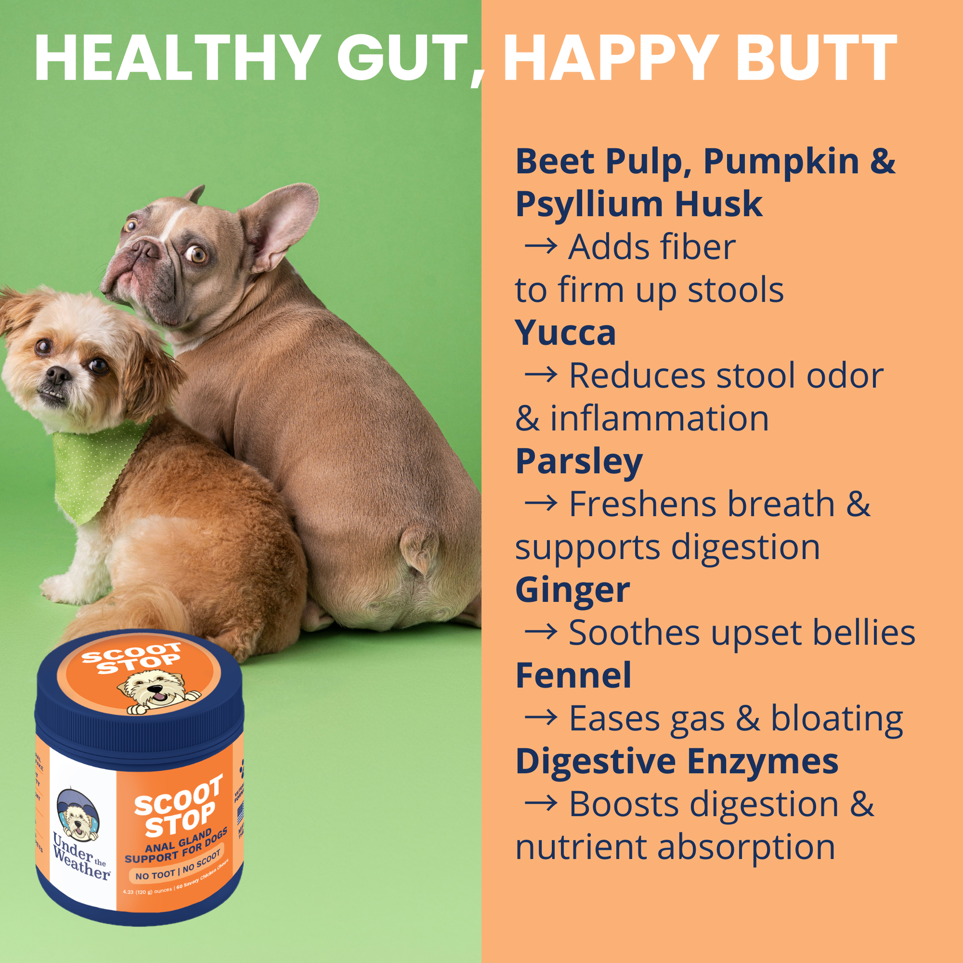 Scoot Stop Anal Gland Support Chews for Dogs – Under the Weather