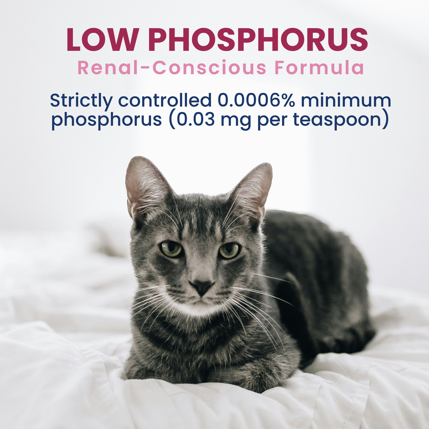 Kidney Cal High Calorie Renal Support for Cats