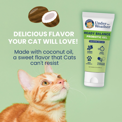 Ready Balance Probiotic Squeezable Gel For Cats