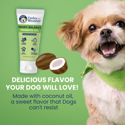 Ready Balance Probiotic Squeezable Gel For Dogs