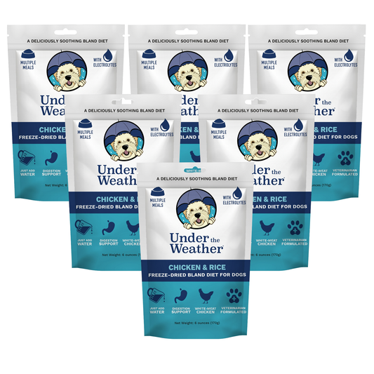 Chicken & Rice Bland Diet For Dogs - 6 pack