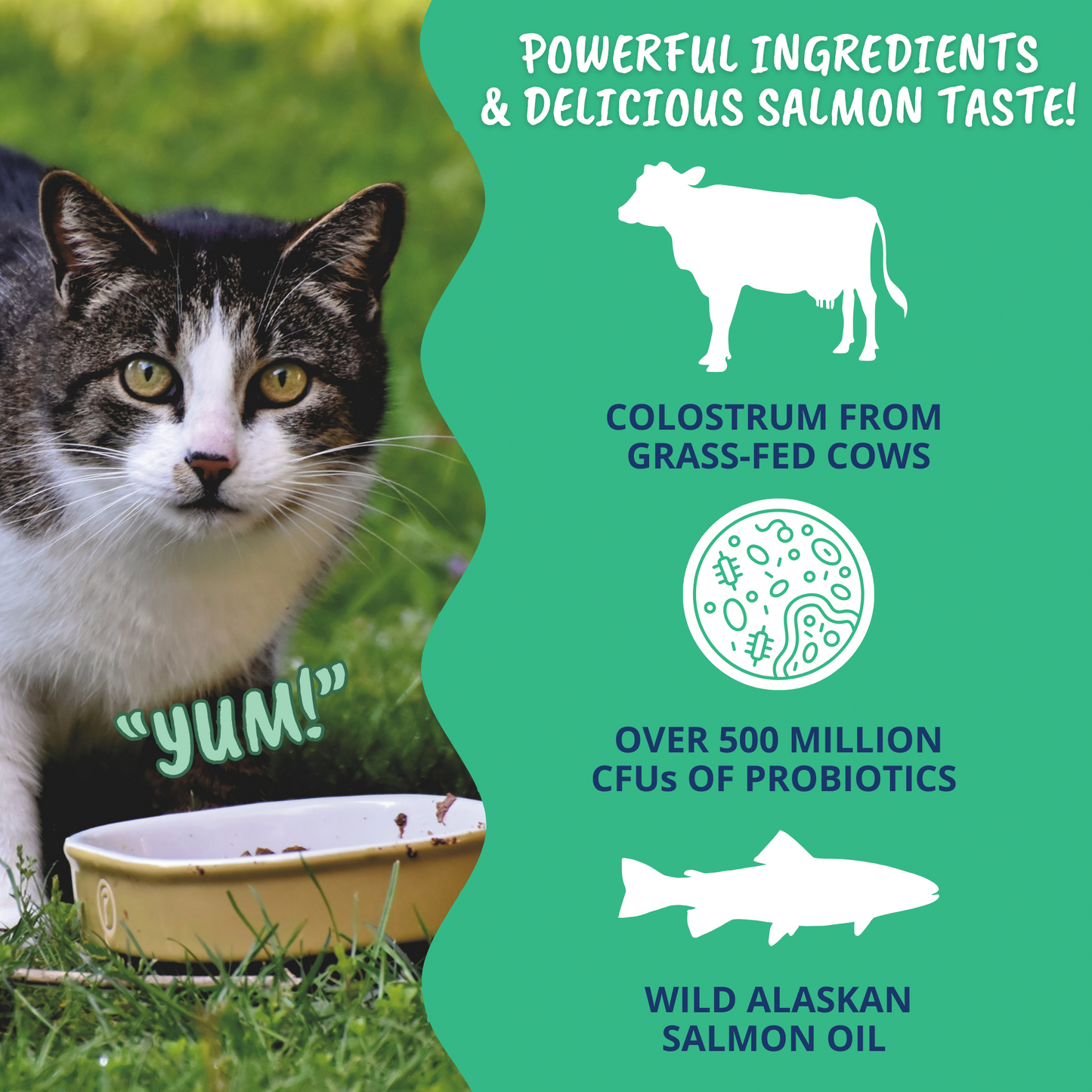 3-in-1 Vital Colostrum Gel for Cats