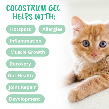 3-in-1 Vital Colostrum Gel for Cats