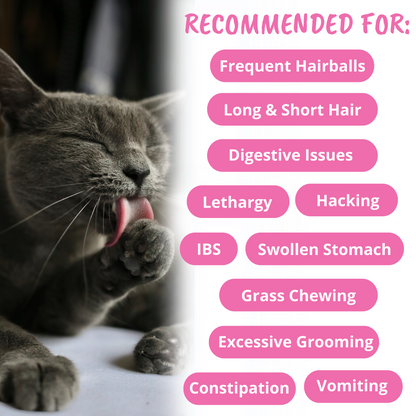 Hairball Support Soft Chews for Cats