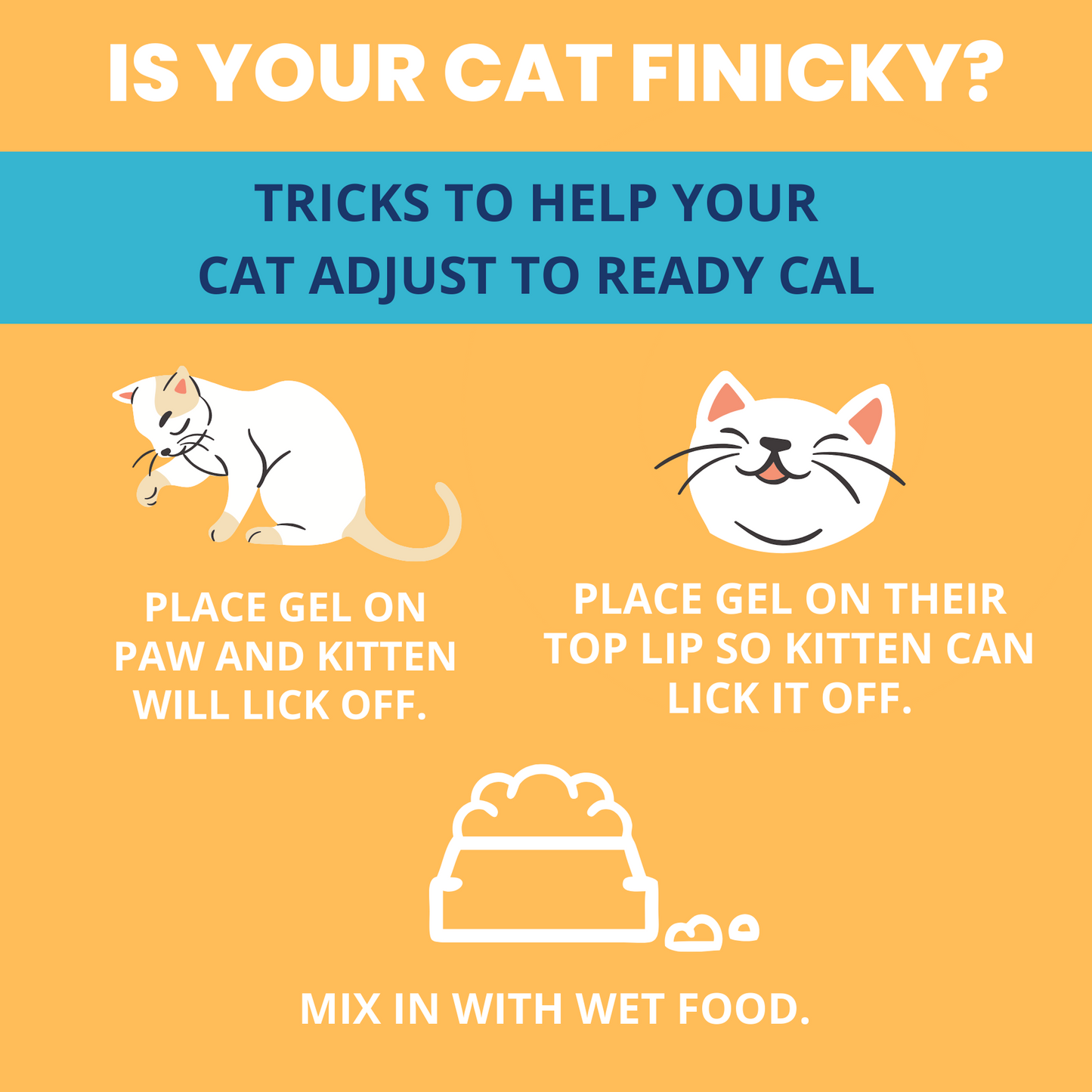 Ready Cal™ PLUS Electrolytes for Cats