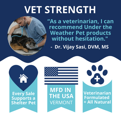 Travel Bundle For Dogs