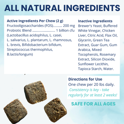 Probiotic Chews for Dogs