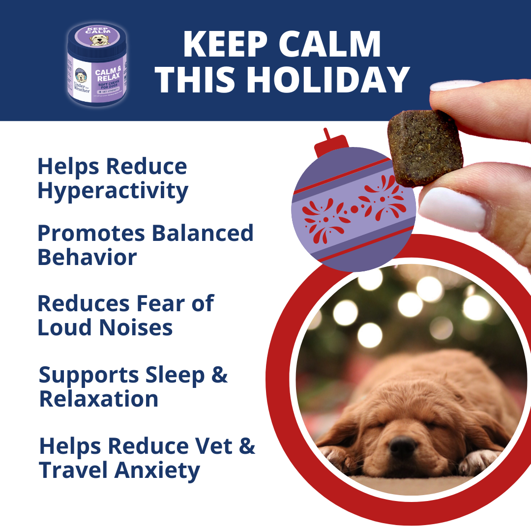 Holiday Survival Bundle For Dogs