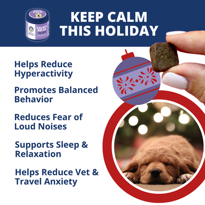 Holiday Survival Bundle For Dogs