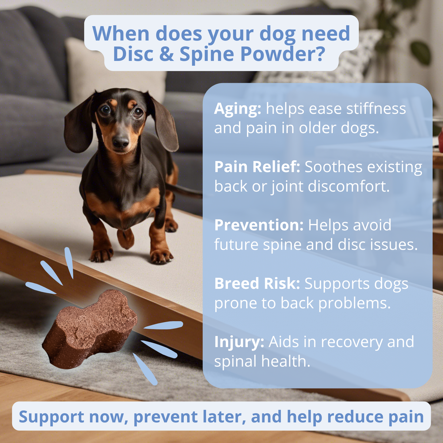 Disc & Spine Support Powder