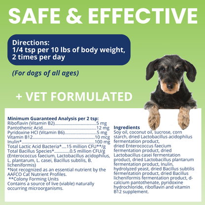 Ready Balance Probiotic Squeezable Gel For Dogs