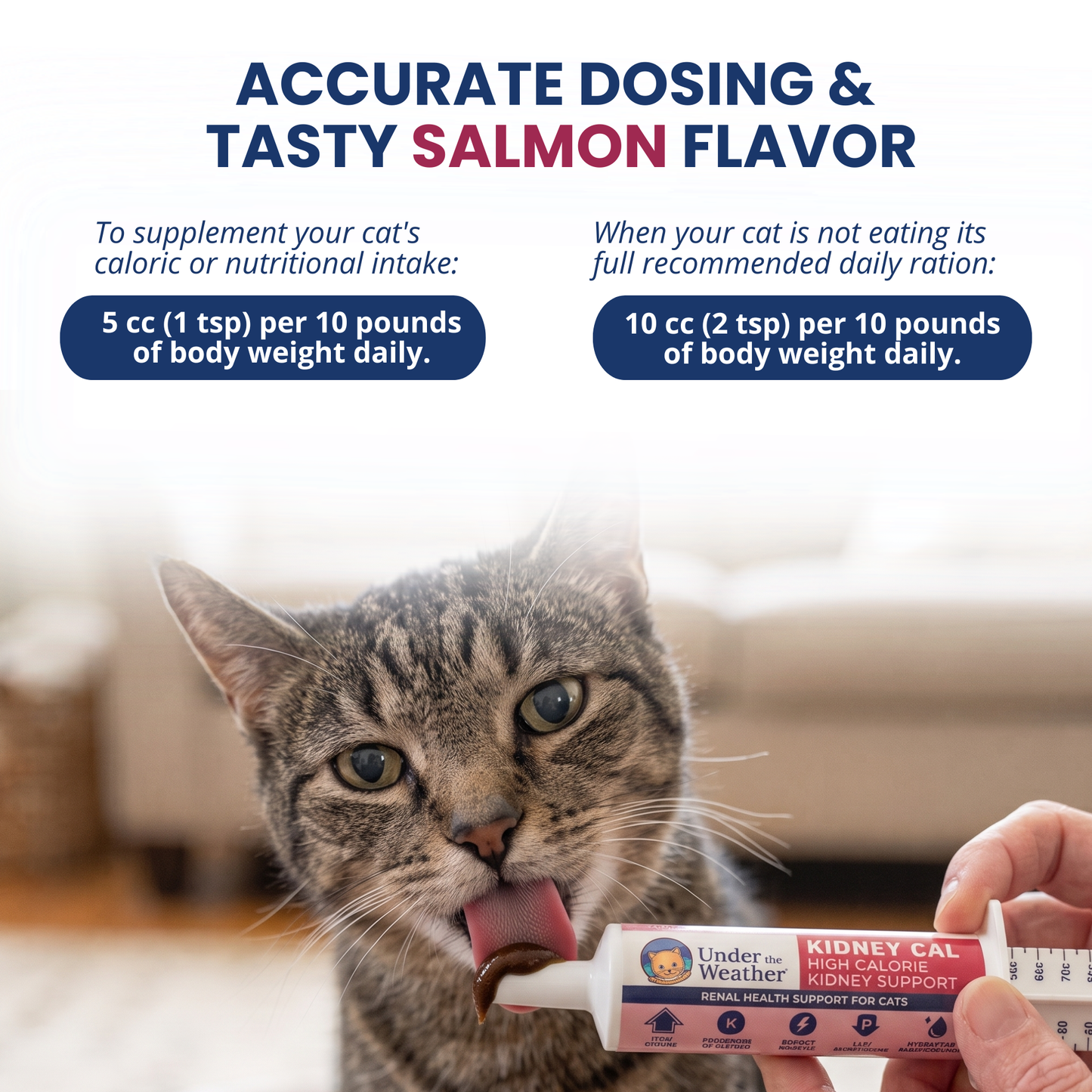Kidney Cal High Calorie Renal Support for Cats