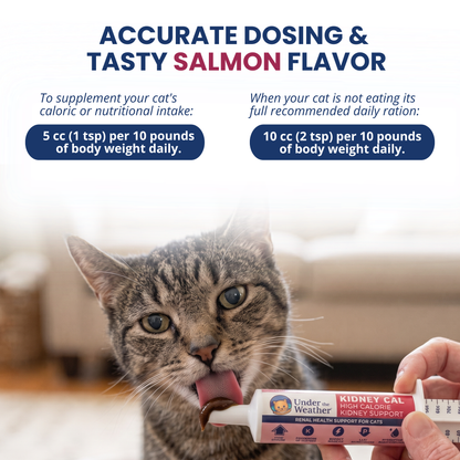 Kidney Cal High Calorie Renal Support for Cats
