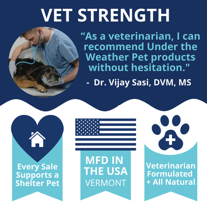 Calming Chews for Dogs