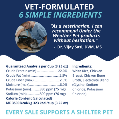 Chicken, Rice, & Bone Broth Bland Diet For Dogs