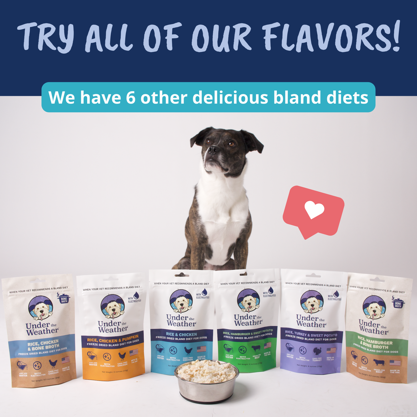 Turkey, Rice, & Sweet Potato Bland Diet For Dogs - 2 Pack