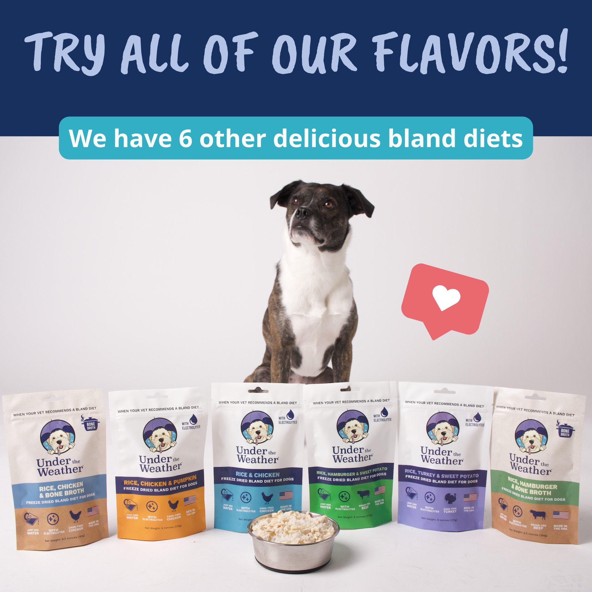 Turkey, Rice, Sweet Potato Bland Diet For Dogs – Under the Weather