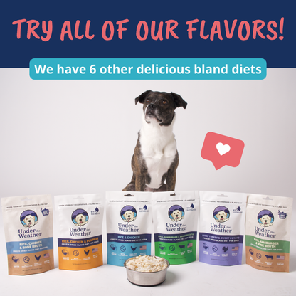 Turkey, Oatmeal, Sweet Potato and Slippery Elm Bland Diet For Dogs - 2 Pack