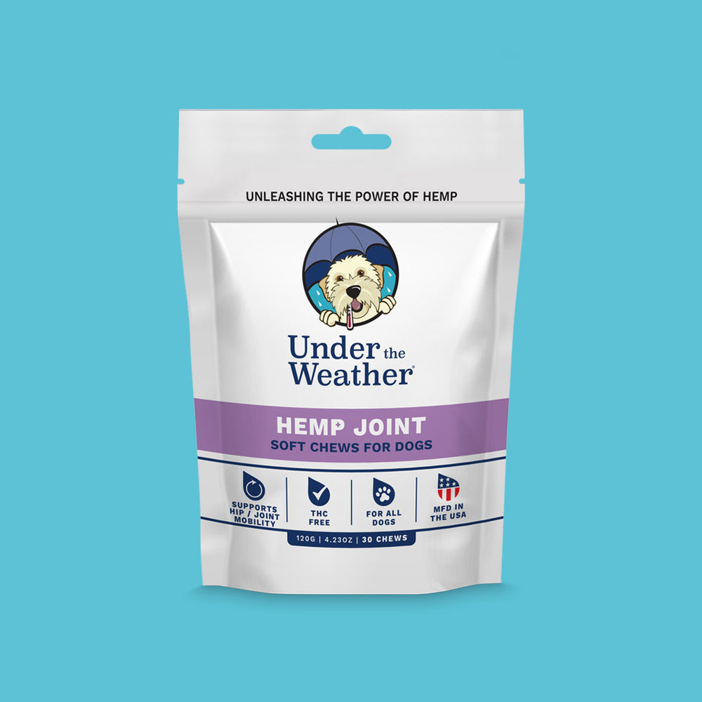 Premium Pet Supplements For Daily Care | Under the Weather Pet