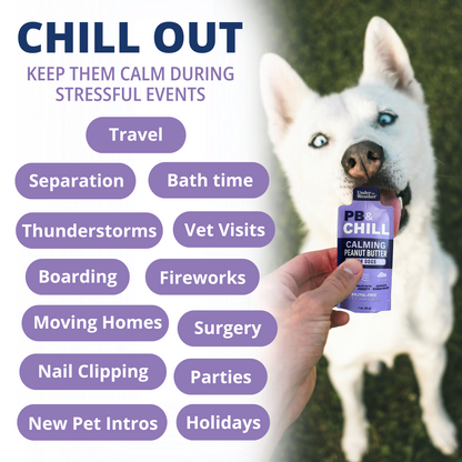 PB&CHILL™ Calming Peanut Butter For Dogs - 6 Packets