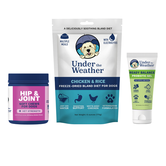 Mature Dog Bundle