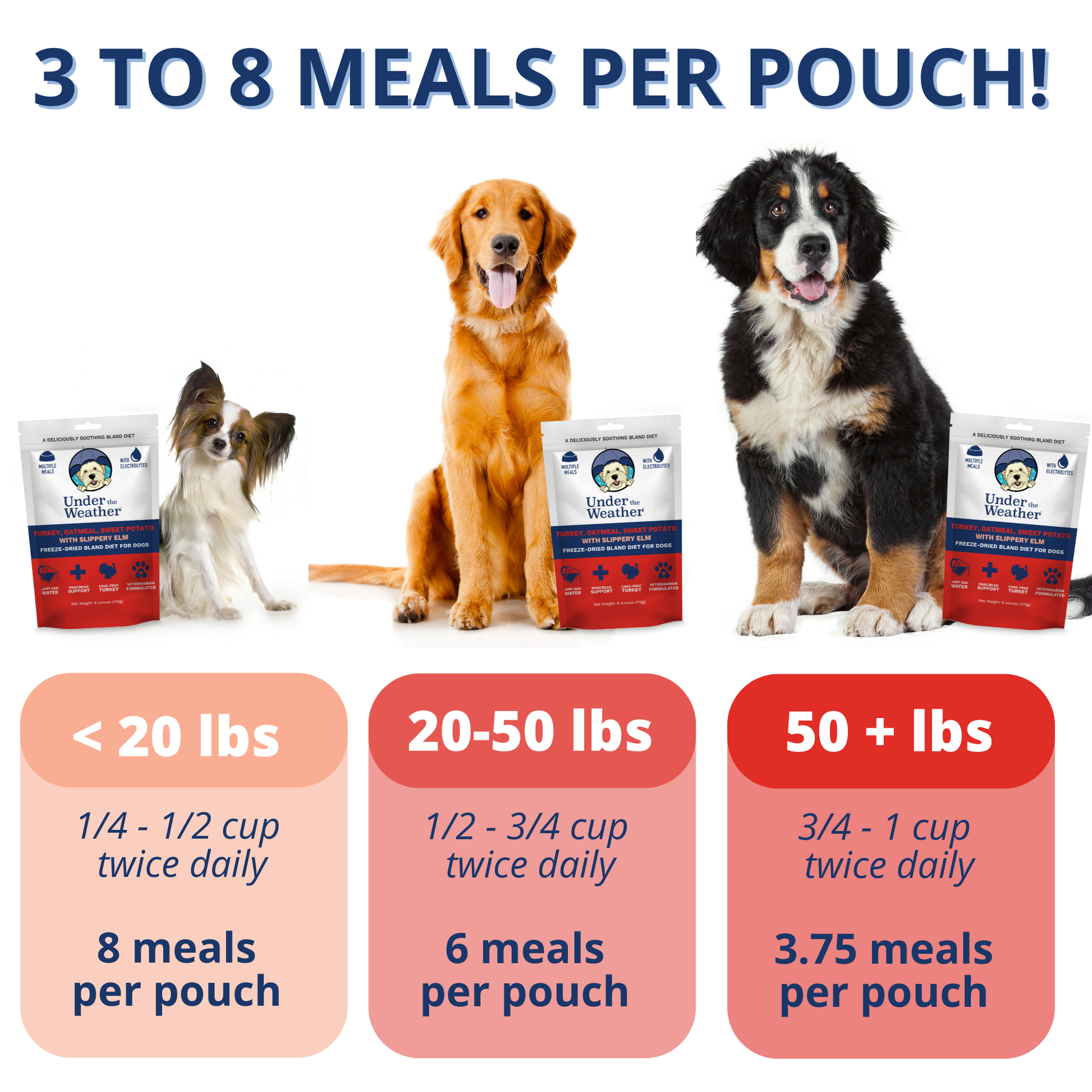 Bland Food Good Food For Puppies With Diarrhea Bland Diet For Dogs