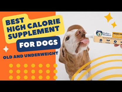 Ready Cal High-Calorie Supplement For Dogs