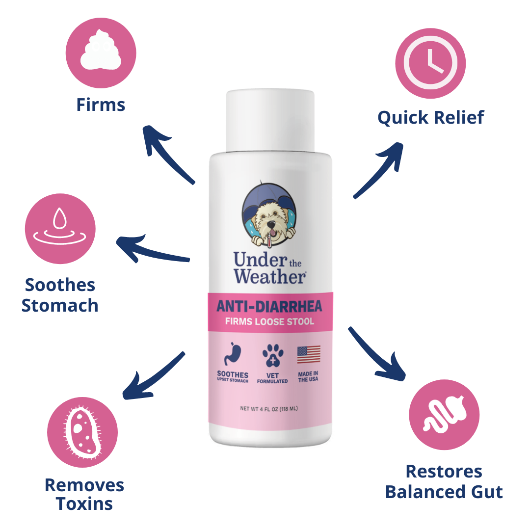 Dog top medication diarrhea