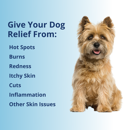 Antimicrobial Wound Spray For Dogs