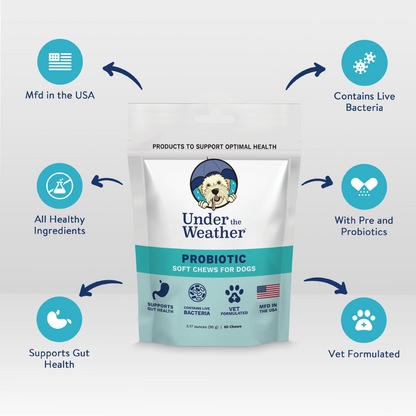 Probiotic Soft Chews For Dogs - 6 Pack