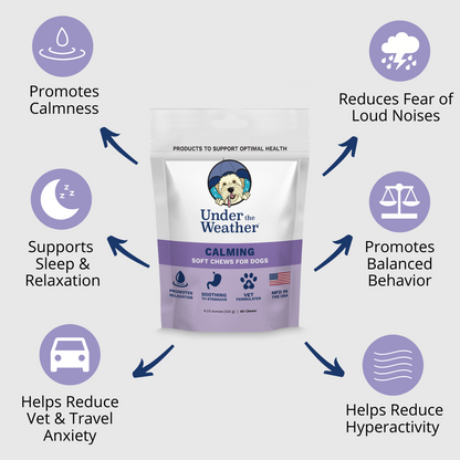 Calming Soft Chews For Dogs - 6 Pack