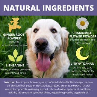 View of Natural Calming Supplements for Dogs | Under the Weather