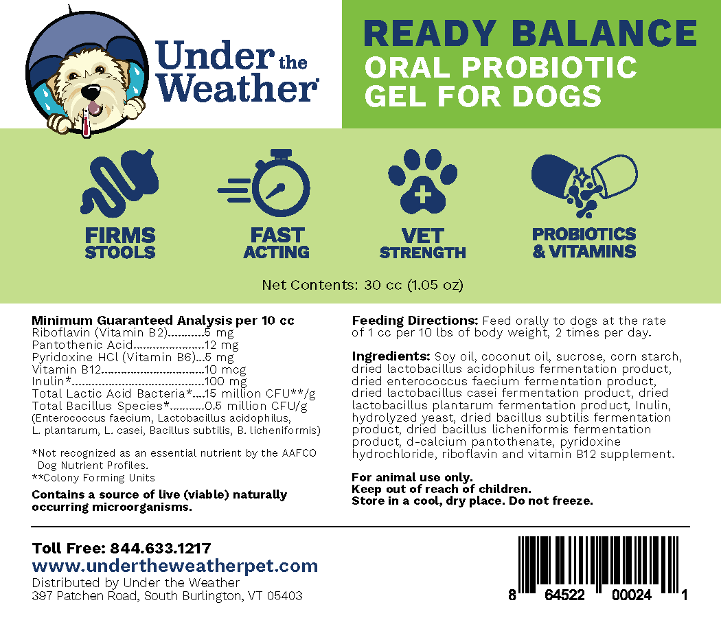 Ready Balance Probiotic Supplement For Dogs