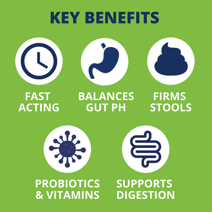 Ready Balance Probiotic Supplement For Dogs