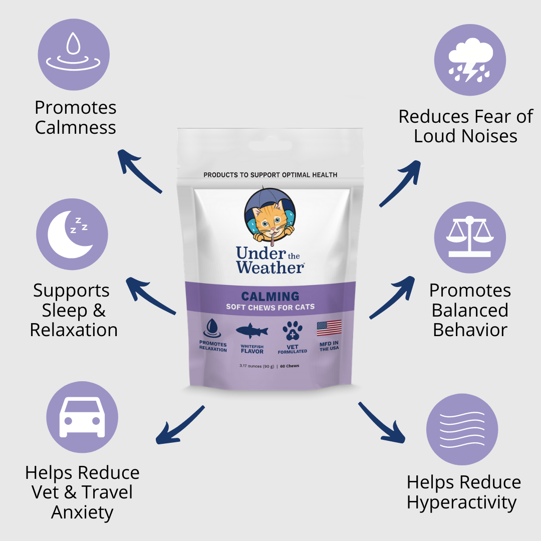 Antimicrobial Wound Spray and Calming Chews for Cats