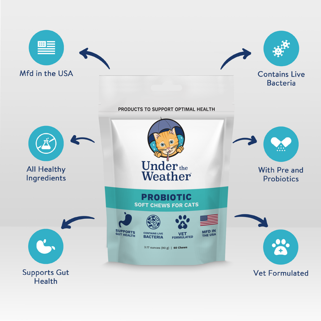 Probiotic Soft Chews For Cats