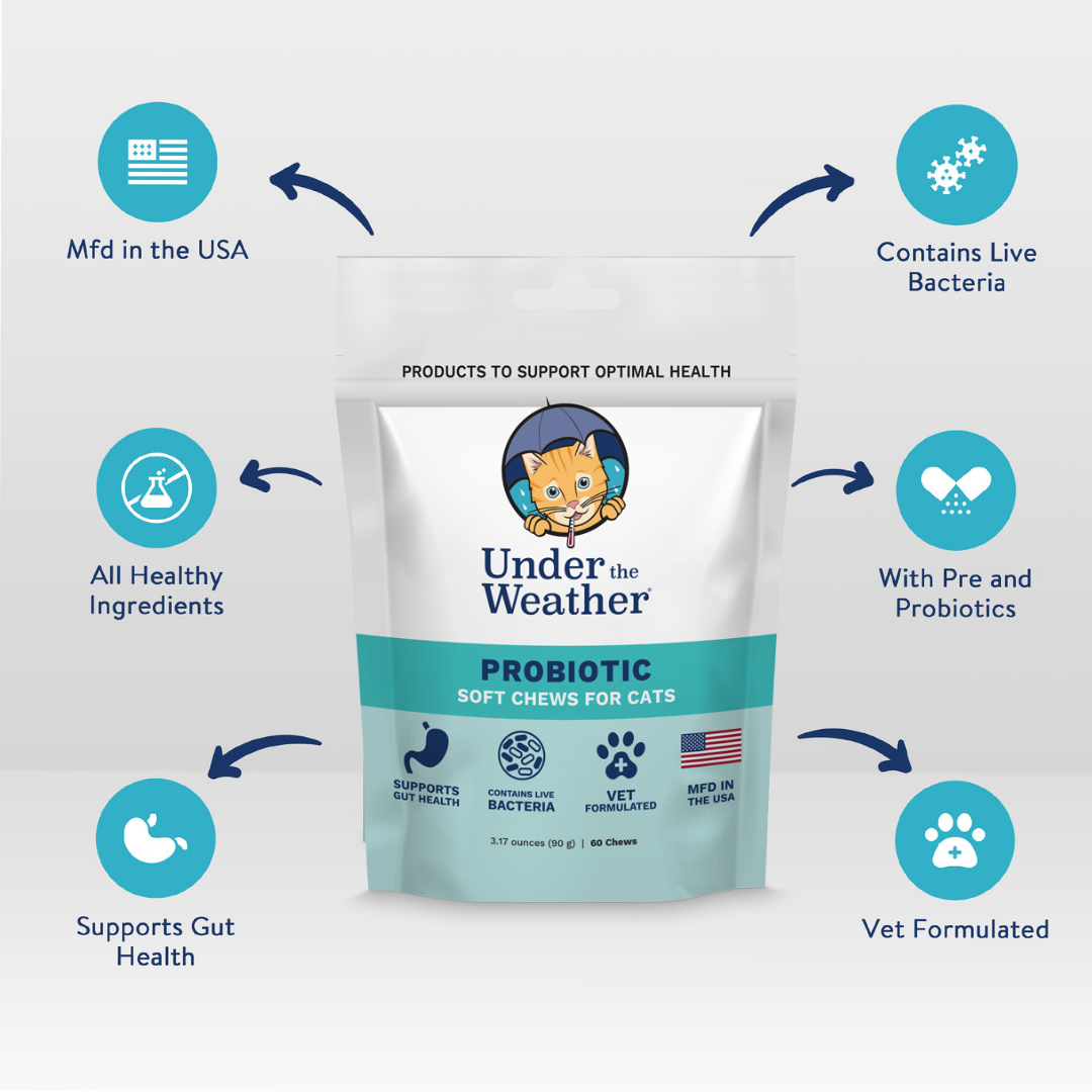 Probiotic Soft Chews For Cats - 6 Pack