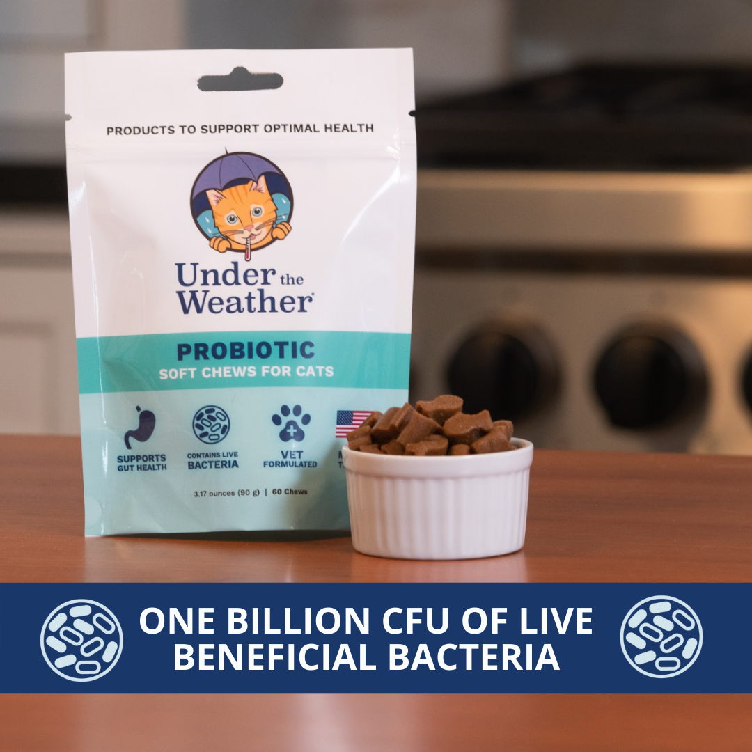 Probiotic Soft Chews For Cats