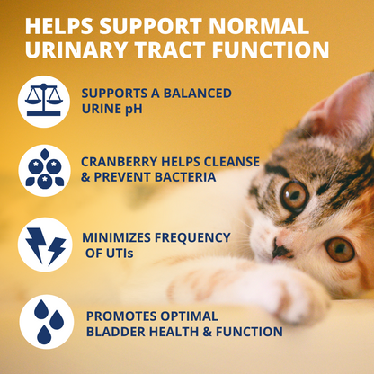 Urinary Support Soft Chews For Cats