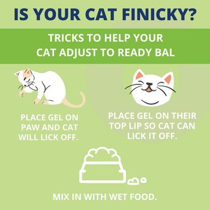 Ready Balance Probiotic Supplement For Cats