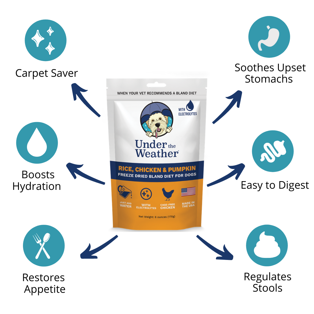 Chicken, Rice, & Pumpkin Bland Diet For Dogs - 6 Pack