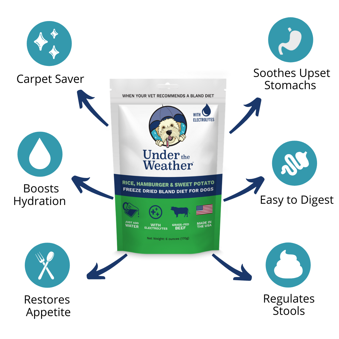 Hamburger rice sales for sick dog