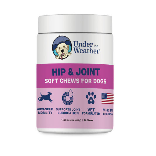 Hip & Joint Chews for Dogs