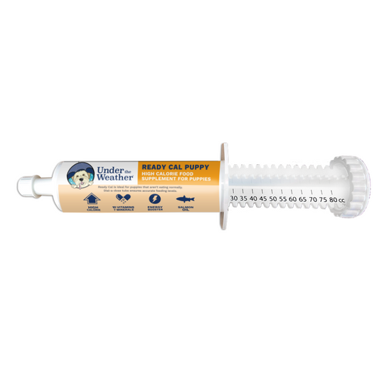 Ready Cal™ High-Calorie Supplement For Puppies - 80cc