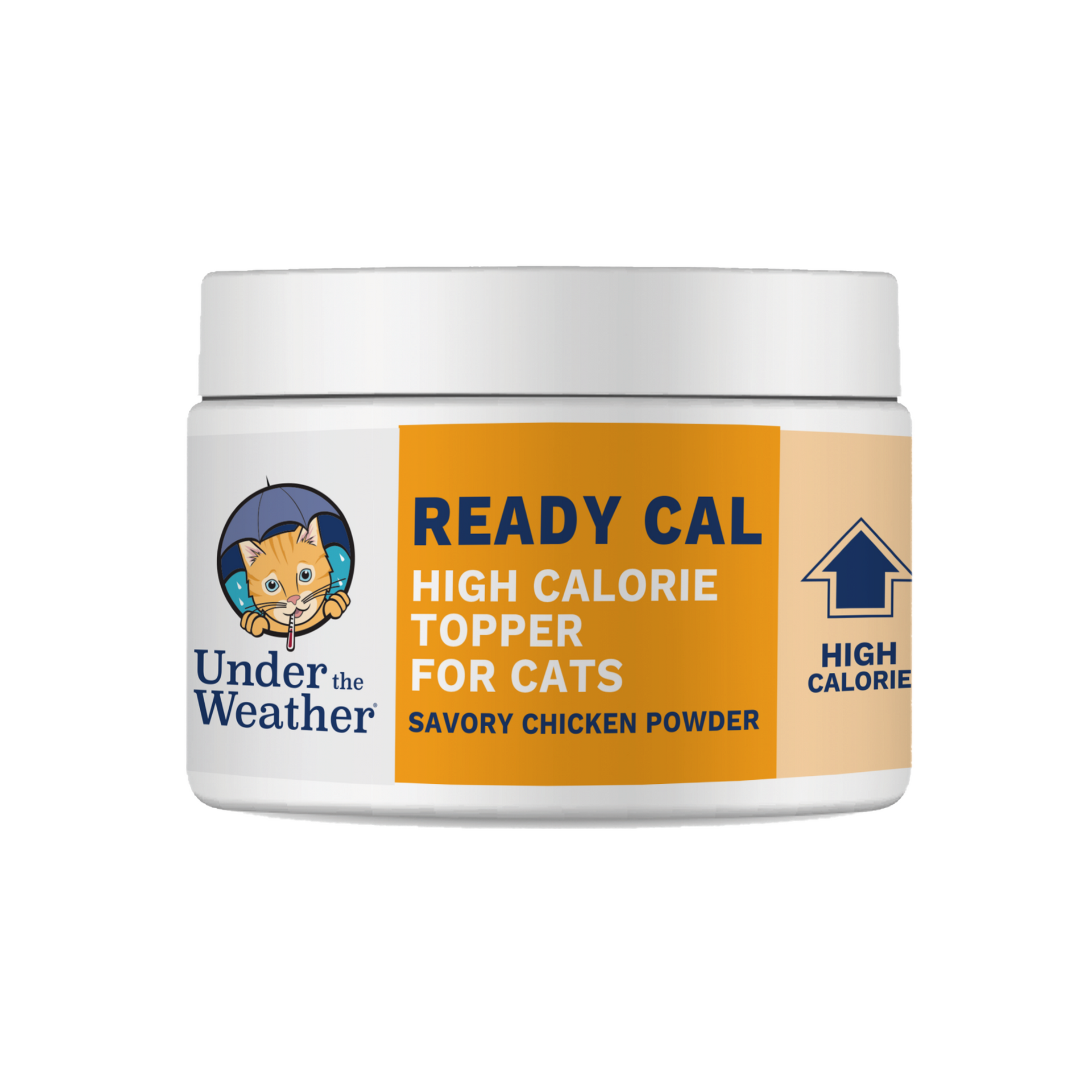 High Calorie Nutritional Boost for Cats Under the Weather