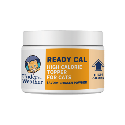Ready Cal High Calorie Powder for Cats