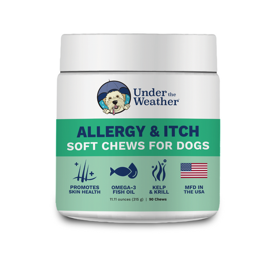 Allergy and Itch Chews for Dogs