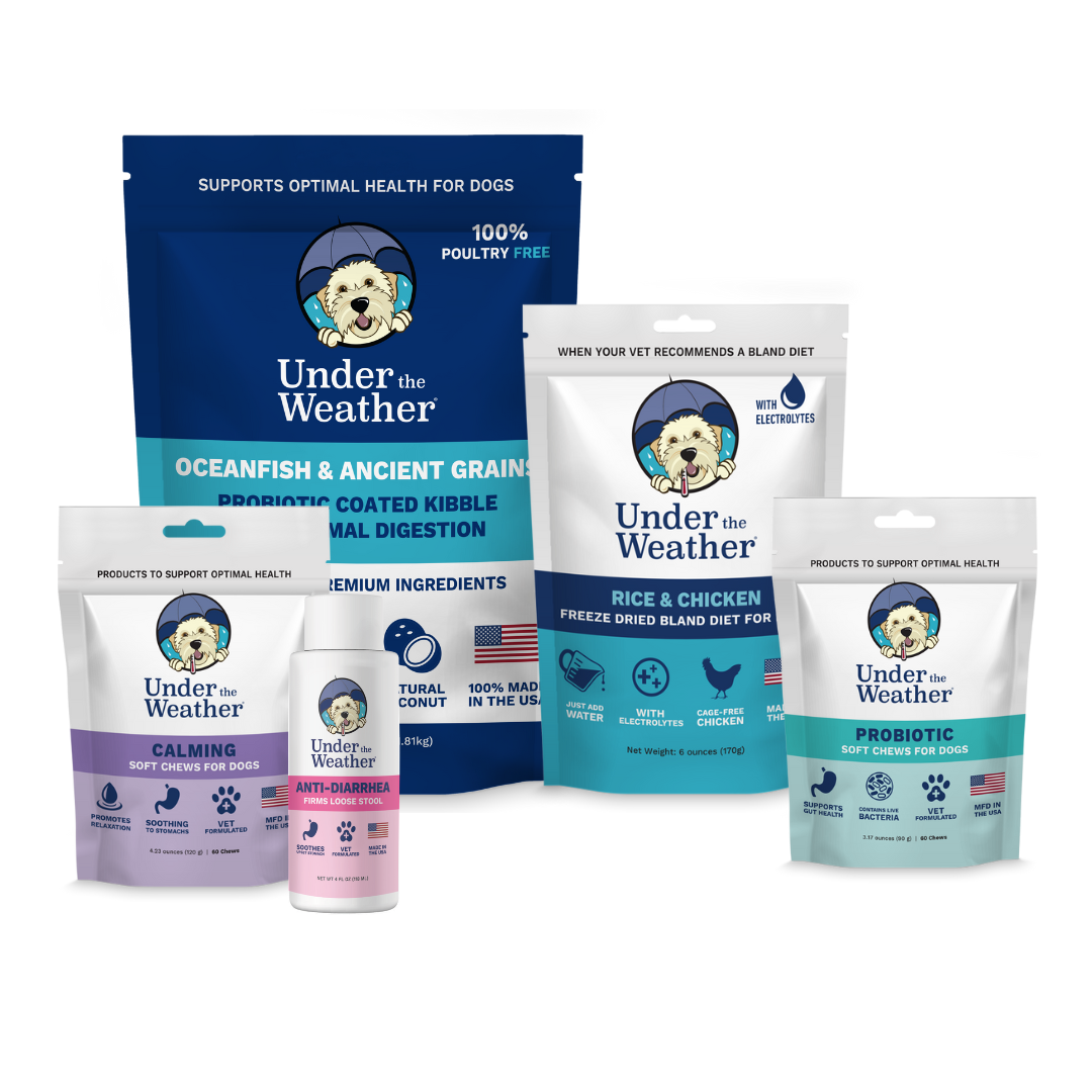 Puppy Starter Kit Bundle