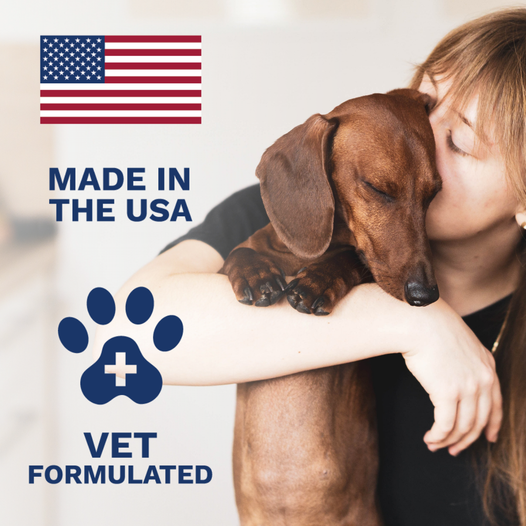 Diarrhea Medicine For Dogs Under the Weather