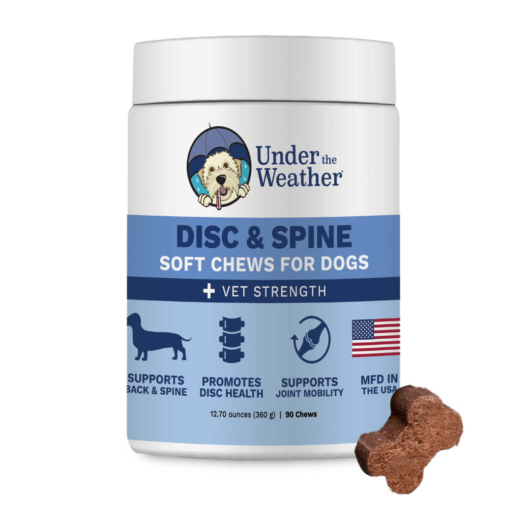 Disc and Spine Chews For Dogs